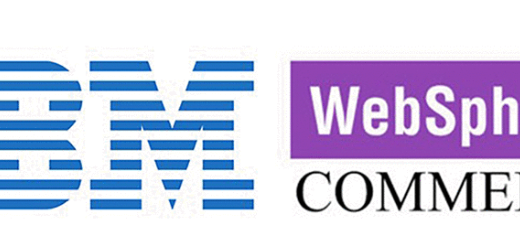 ibm websphere commerce logo x