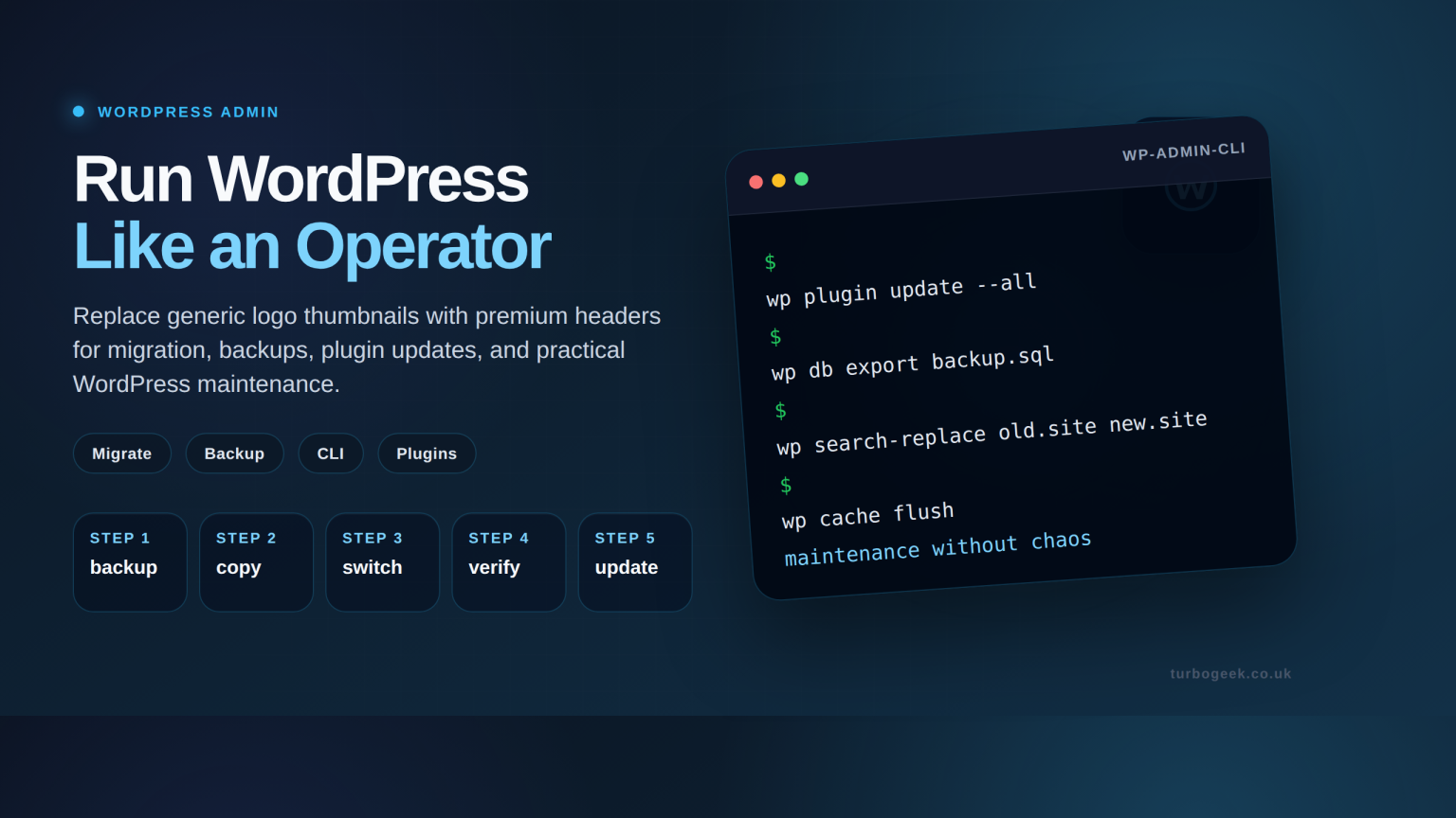 How to Update WordPress plugins via CLI