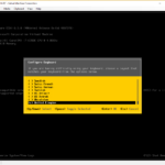 Nested Esx
